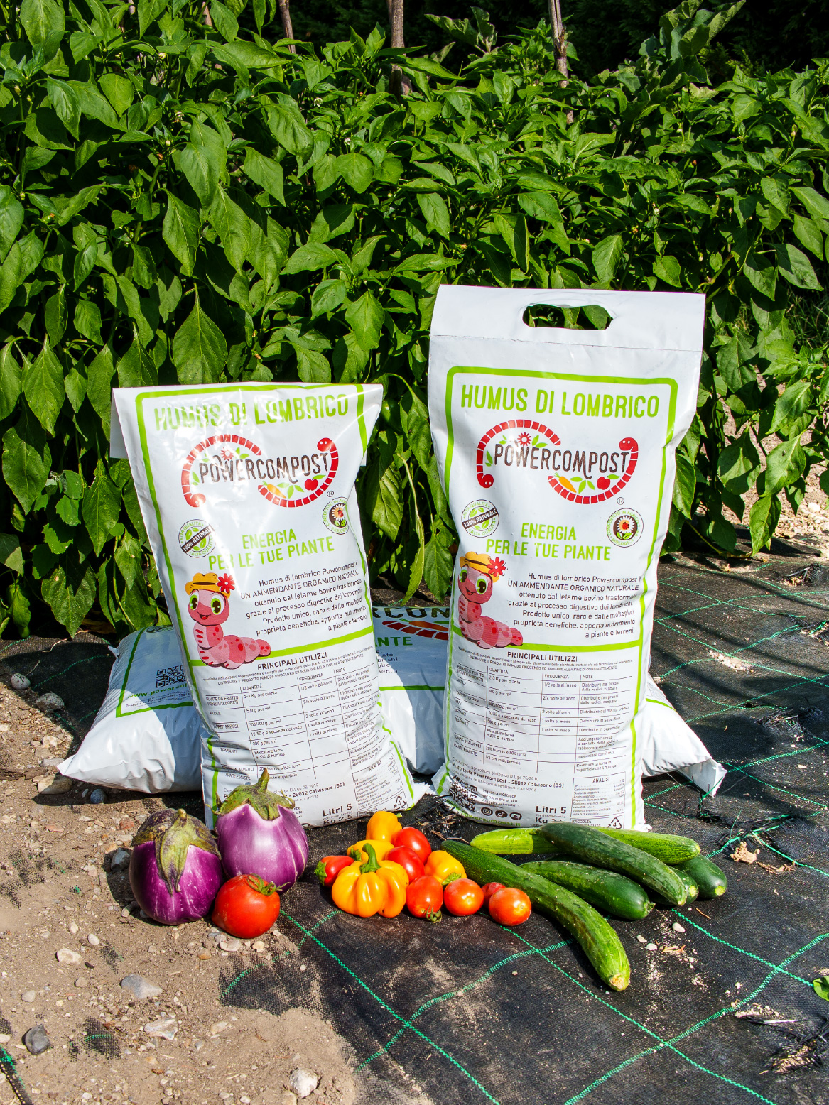 Humus di lombrico Powercompost - fertilizzante naturale per orto e piante da frutto con verdure fresche in primo piano