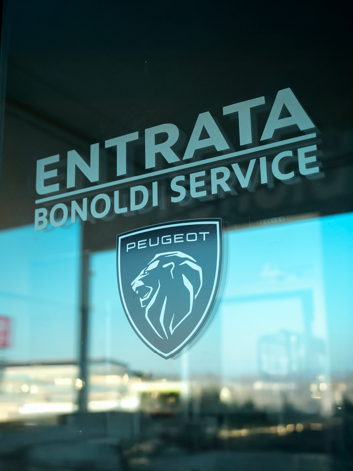 Caso studio Digital Mood per Bonoldi Service - strategie di web marketing per concessionarie Peugeot